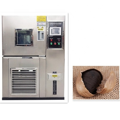 Máquinas de fermentación de ajo negro para alimentos y bebidas con capacidad de 100-480 kg/hora y grandes