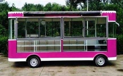 Carro de comida de helados eléctricos de primera clase para viajes, campamentos y bebidas frías