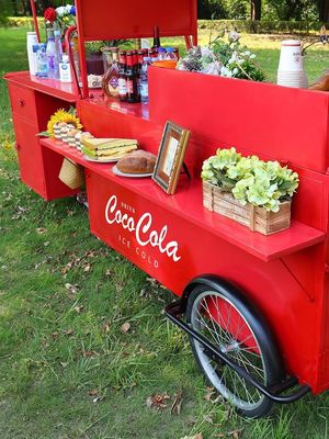 Carritos de café multifunción Food Trailer Carro de comida móvil helado Mini camión de comida