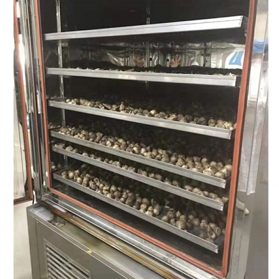 Máquina de fermentación de ajo negro con baja inversión