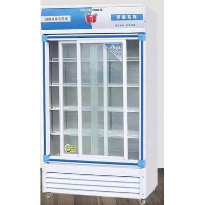 R404a Refrigerante y congelador de superperformance de 10 grados con baja inversión